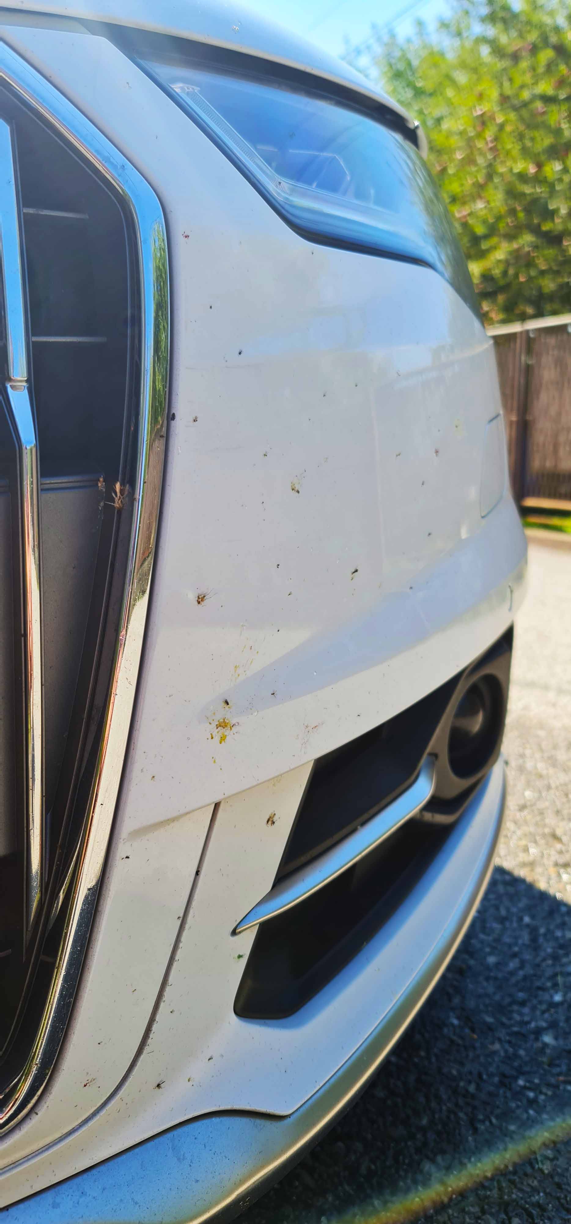 Gtechniq W8 Bug Remover - silný odstraňovač hmyzu
