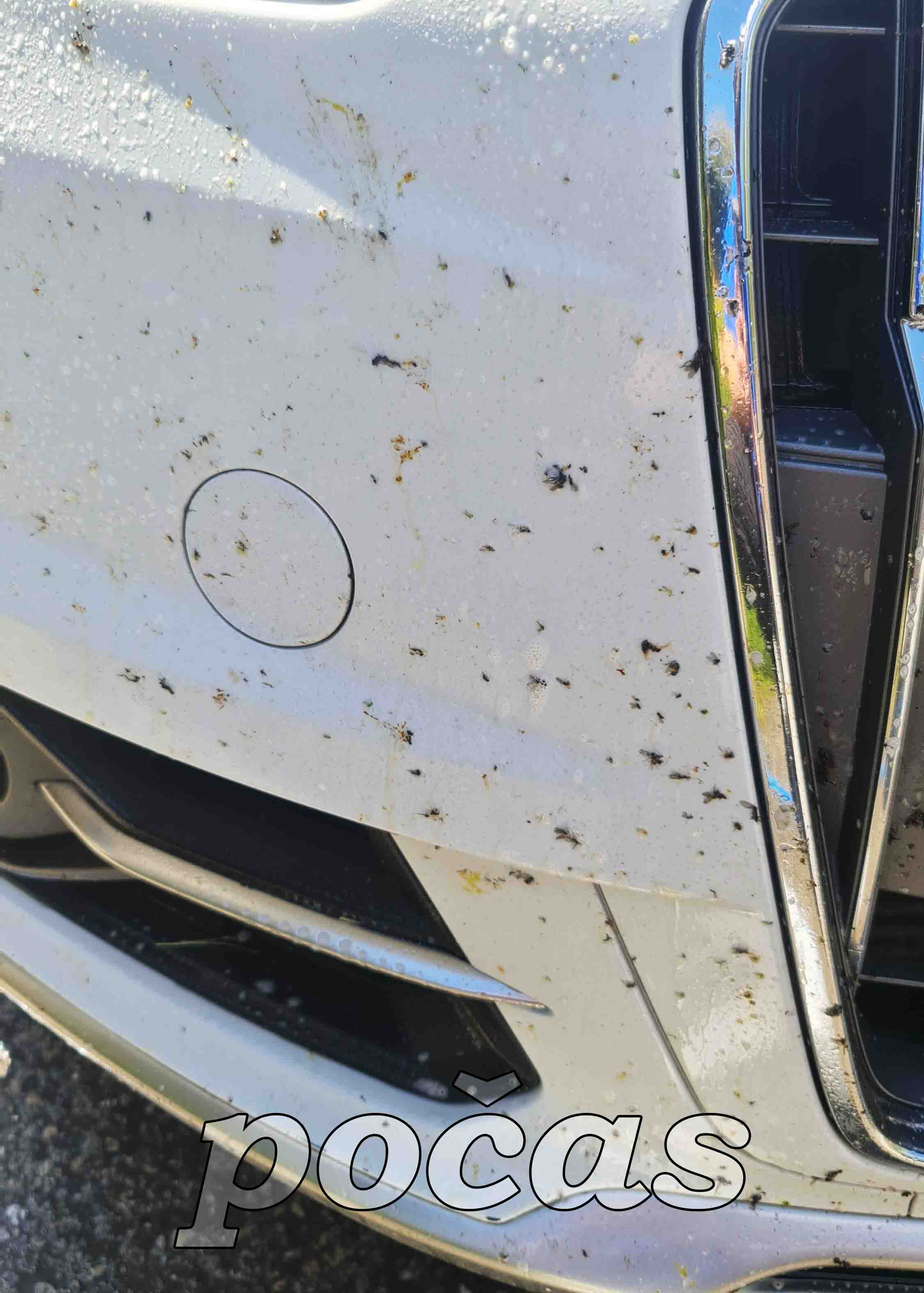 Gyeon Q2M Bug&Grime - odstraňovač hmyzu 4l
